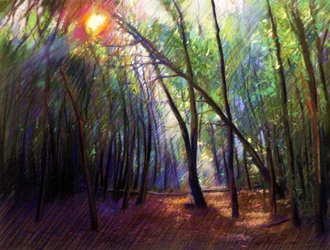 Zonlicht door de bomen