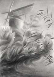 Windmolenriet, sereen