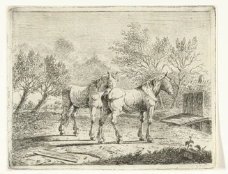 Weidelandschap met twee paarden bij bruggetje en boerderij