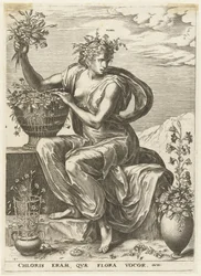 Flora
