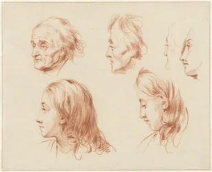 Studies van hoofden