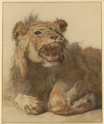 Een grommende leeuw, c.1625-33