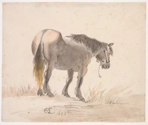 Paard Staand op een Heuvel