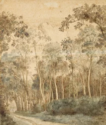 Bosrijk landschap