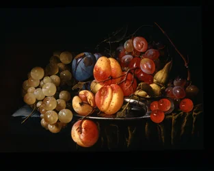 Stilleven van fruit