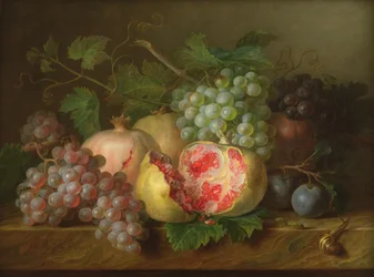 Stilleven van granaatappels, druiven en pruimen op een marmeren richel (paneel)