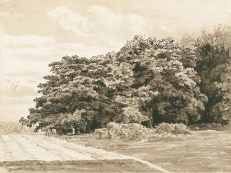 Wrottesley Hall - De Struikgewas: sepia tekening, 1820
