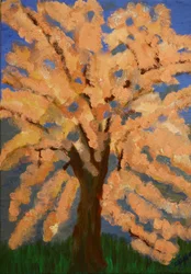 Kersenbloesem, Lente Londen