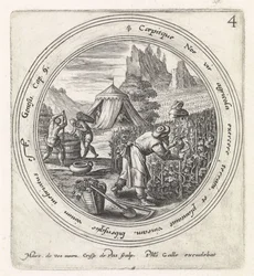 Noach Legt een Wijngaard aan