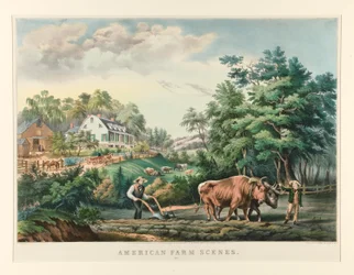 Amerikaanse Boerderijsituaties. Nr. 1