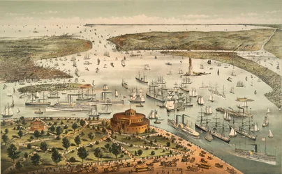 De haven van New York: Vogel