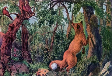 De Verbaasde Vos, 1872