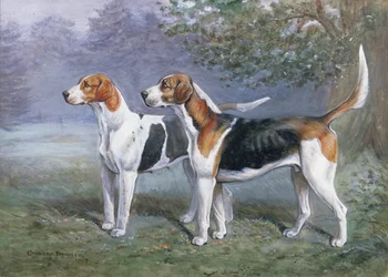 Een teef en hond in een landschap