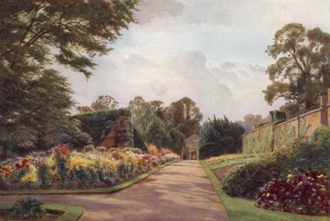 Vroege chrysanten, Claremont