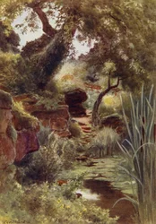 Deel van de rotstuin bij het bovenmeer, Sandringham