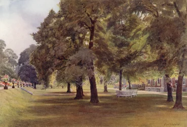 Bomen op het gazon bij Marlborough House