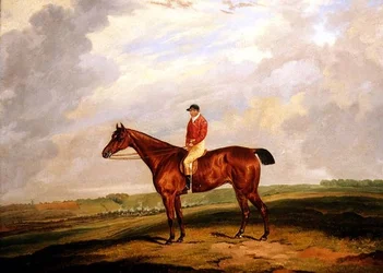 Renpaard met Jockey