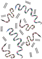 Slangen  Ladders, 2024 (gemengde techniek)