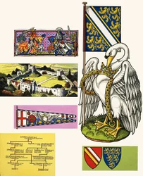 De zwaan van de De Bohuns (wapenschild)