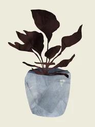 Land Plant