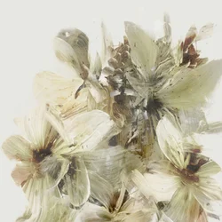 Heuvelbloemen