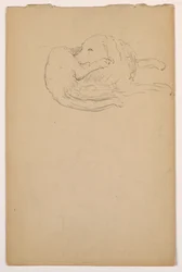 Tekening, Dash (een setter), ca. 1862
