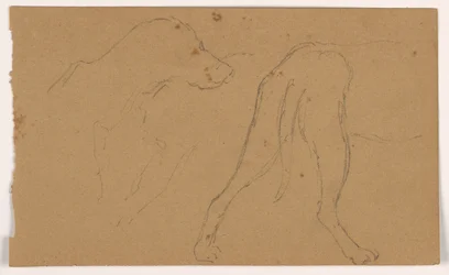 Tekening, Milo (een Pointer), hoofd en lichaam, ca. 1862