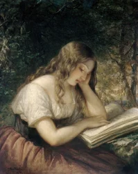 Studie in een bos