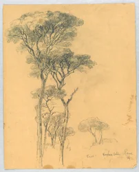 Studie van Pijnbomen, Villa Borghese, Rome