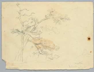 Studie van twee pijnbomen, Catskill Mountains