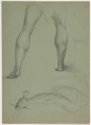 Twee Gedeeltelijke Anatomische Studies