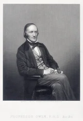 Sir Richard Owen, Engelse zoöloog, ca. 1860