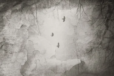 Etherische vogels: Wintervlucht