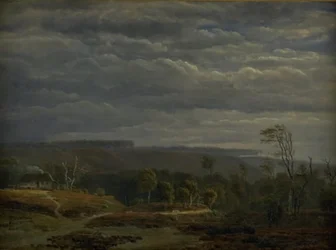 Uitzicht op een bebost landschap in Jutland