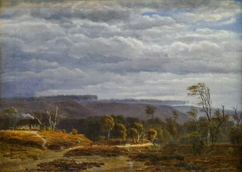 Uitzicht op een bosrijk landschap in Jutland