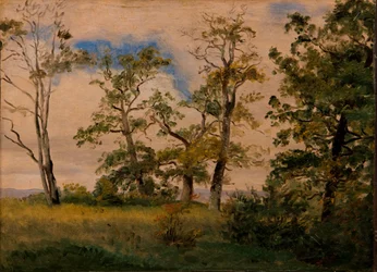 Landschap met vrijstaande bomen