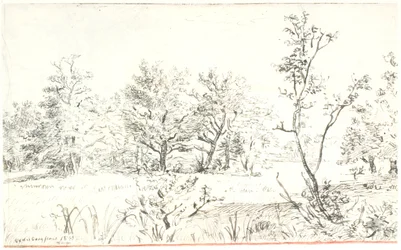 Landschap met bos en weide