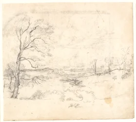 Uitzicht over een heuvelachtig en bosrijk landschap