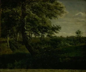Ørsbjerg Bos bij Aarup, Funen