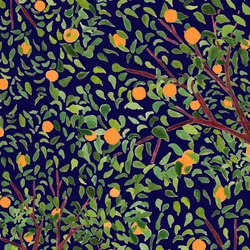 Weelderige sinaasappelboomgaard blauw