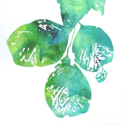 Levendige bladeren in aquarel