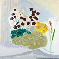 Zaaddozen en Cosmos, 2010