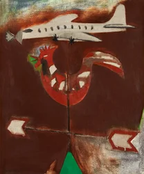 Weerhaan en zilveren vliegtuig