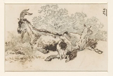 Geit en jong in een landschap