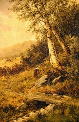 Landschap