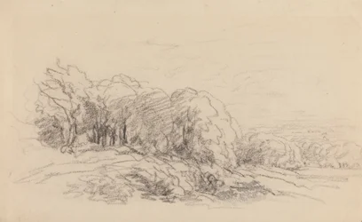 Landschap met bomen