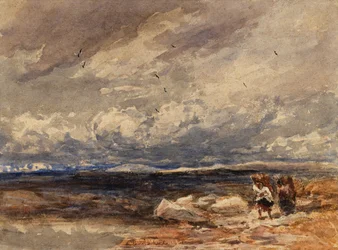 Op Carrington Moss