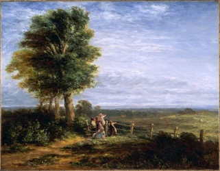 De veldleeuwerik, 1849