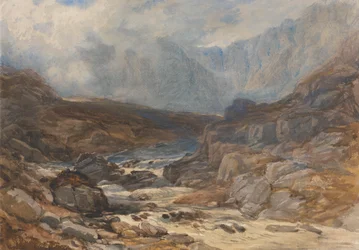 Welshe Bergbeek