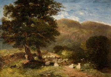 Schapen hoeden, Bettws-y-Coed, 1849